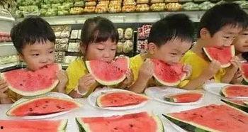 吃瓜摸鱼活动,吃瓜摸鱼，畅享悠闲时光