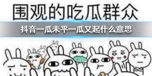 抖音吃瓜项目,揭秘网络热点背后的真相与趣味