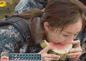 豪放派弟弟吃瓜,揭秘娱乐圈幕后风云