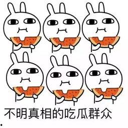 吃瓜有多难,吃瓜有多难？