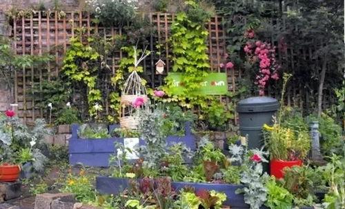 吃瓜纯洁小镇,探寻人间烟火与纯真岁月