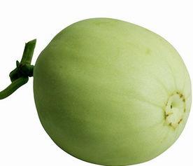 减肥的人可以吃梨瓜,减肥者的理想美食伴侣