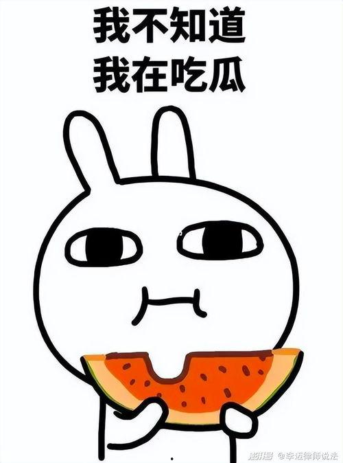 戏说吃瓜图片,揭秘娱乐圈的“瓜田”趣事