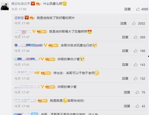 呼市吃瓜评论区,热议焦点与趣味瞬间大盘点