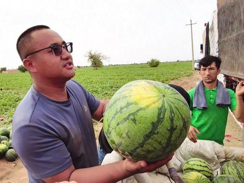 乌鲁木齐网络吃瓜群,揭秘城市生活百态