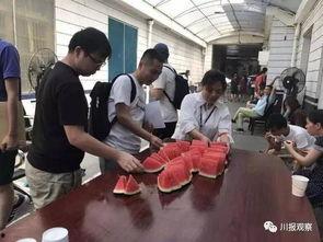 成都吃瓜群众是什么,揭秘“吃瓜群众”的日常生活与趣味