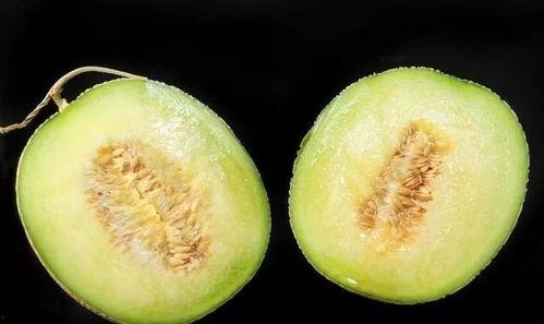 吃瓜咽喉,探寻美食与健康的奥秘