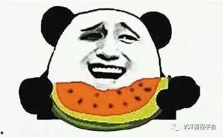 吃瓜群众卢小瓜是谁的孩子,吃瓜群众卢小瓜背后的神秘家族