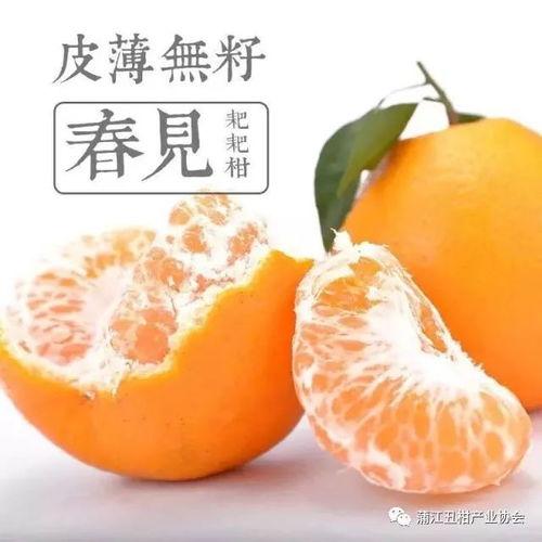 耙耙柑吃瓜,夏日里的甜蜜“吃瓜”新宠