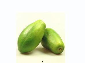 青母瓜怎么吃,解锁美味新体验