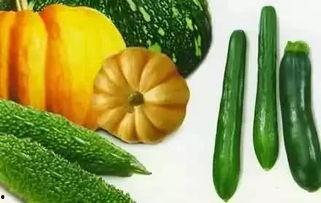 夏天吃瓜冬吃桔