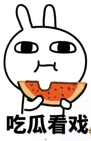 吃瓜的我被,吃瓜群众视角下的娱乐圈风云录