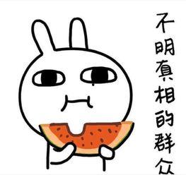 吃瓜安利鹅韩语,揭秘韩流美食的魅力之旅