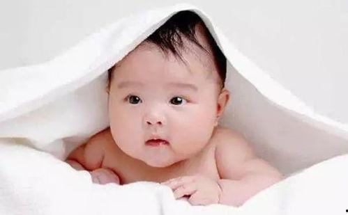 胡子瓜婴儿可以吃不,营养美味，宝宝成长好伴侣