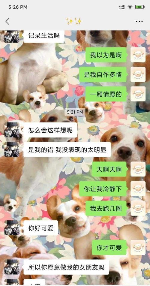 吃瓜视频吃狗粮,吃瓜视频里的狗粮盛宴