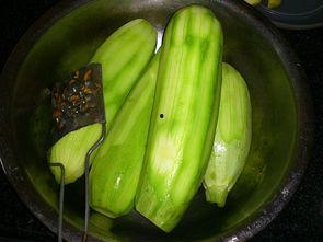 角瓜葫芦怎么吃最好,角瓜葫芦的多样美味食用指南