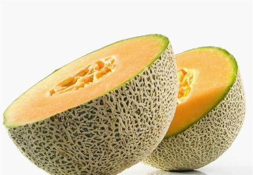 哈密瓜小朋友吃,哈密瓜小朋友的甜蜜成长故事