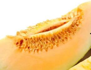 吃蜜瓜的歌,一首歌中的夏日风情