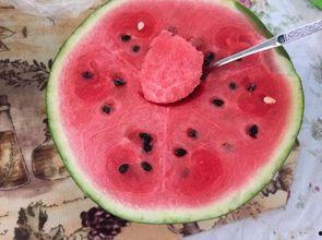 懒瓜咋吃,美味一触即达